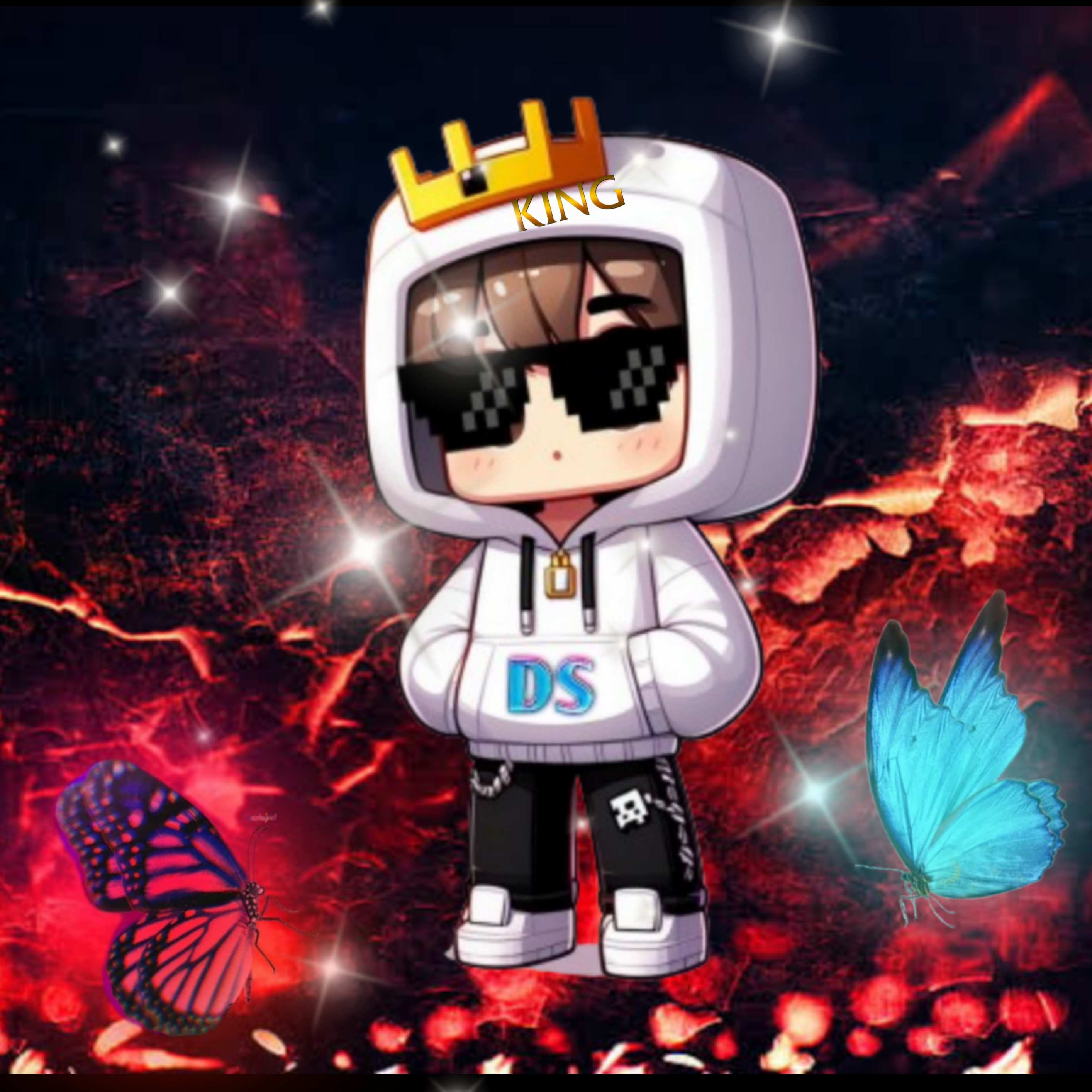 Ds_Gamerzop-official